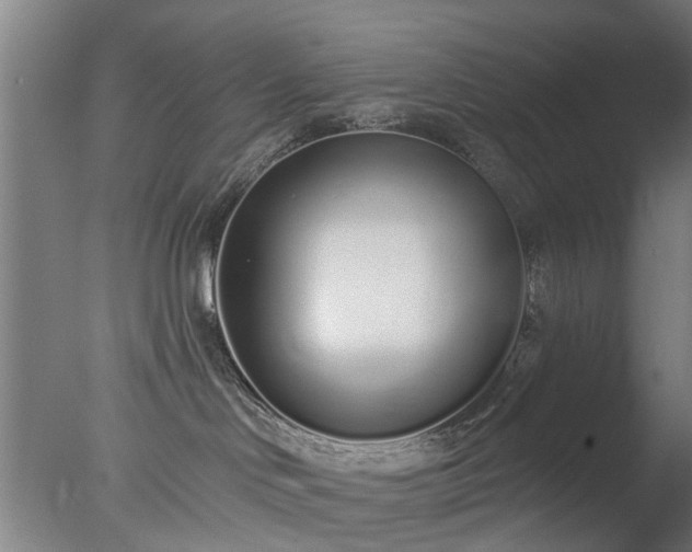 X0000077400046200610272050