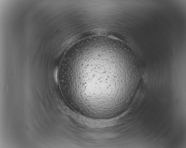 X0000077400047200610272050