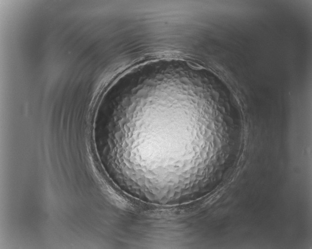 X0000077400049200610272049
