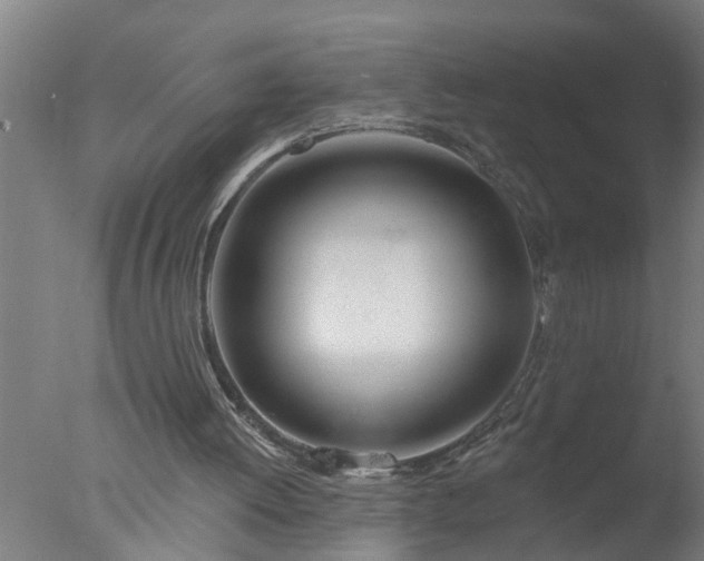 X0000077400052200610272049