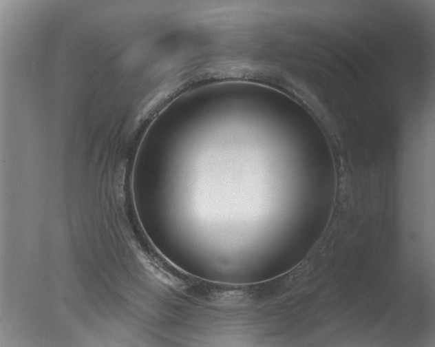 X0000077400058200610272049