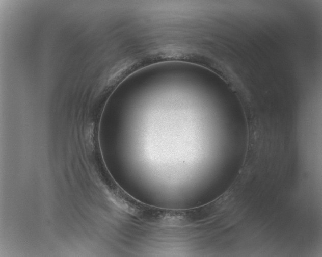 X0000077400066200610272049