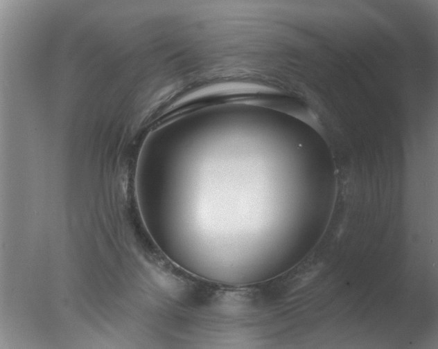 X0000077400072200610272050