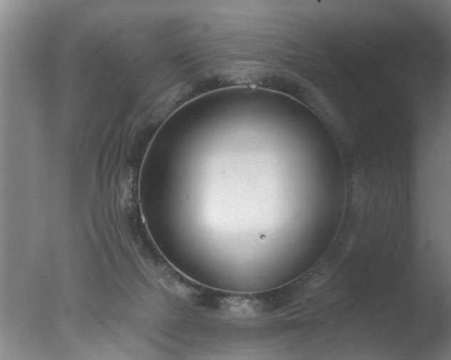 X0000077400073200610272050