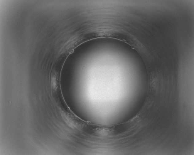 X0000077400074200610272050