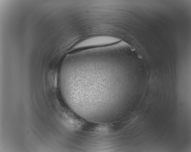 X0000077400076200610272050