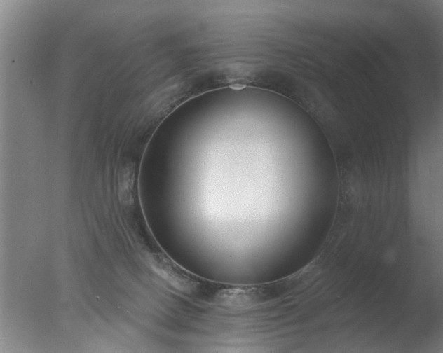 X0000077400082200610272050