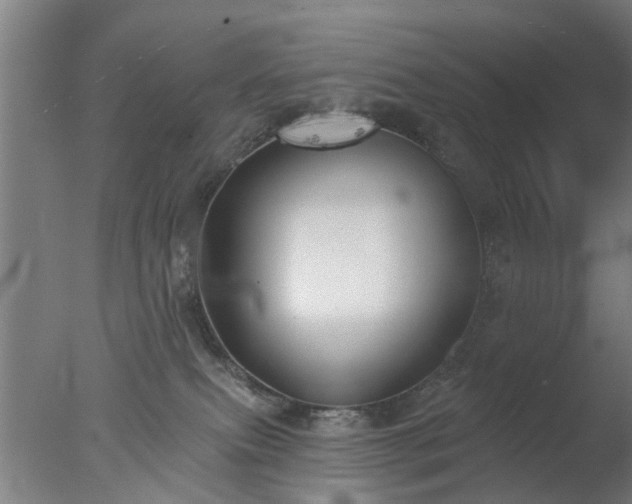 X0000077400087200610272050