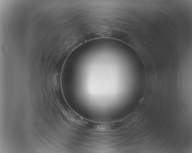 X0000077400088200610272050