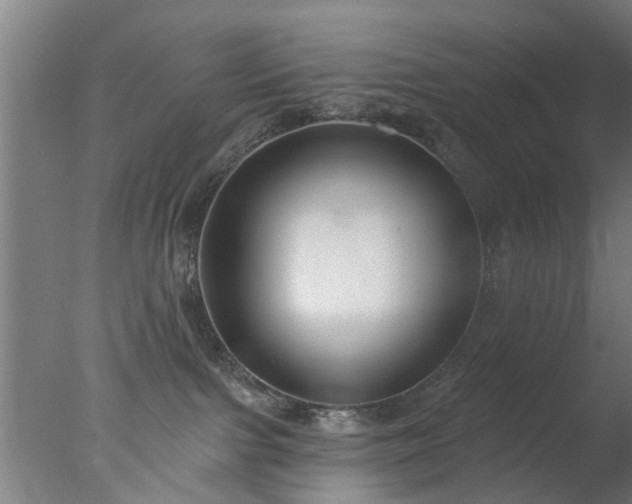 X0000077400091200610272050