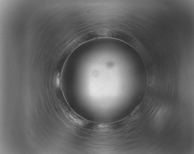 X0000077400095200610272050