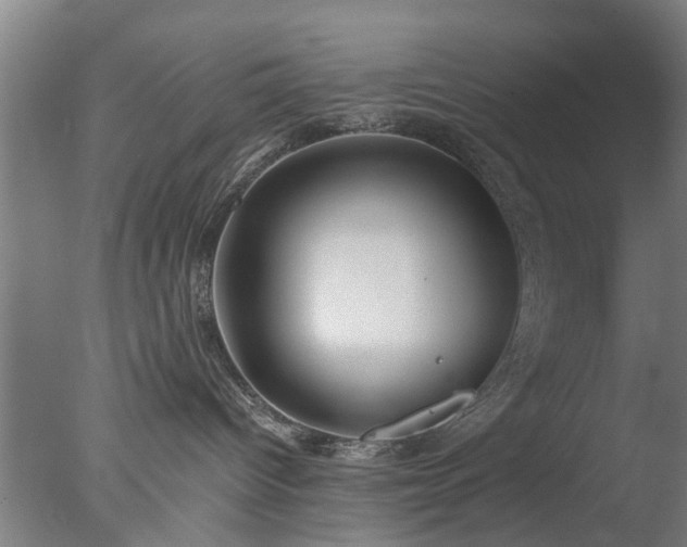 X0000077400096200610272050