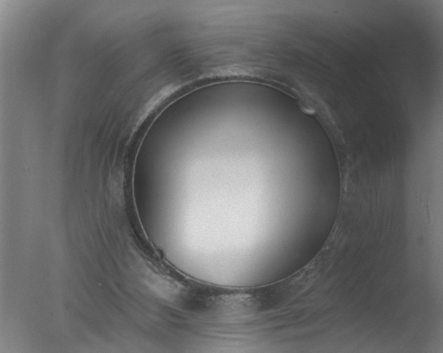 X0000077400108200610272049