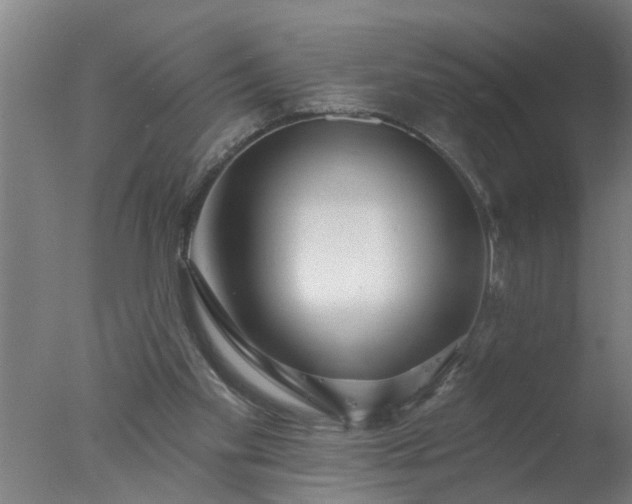 X0000077400109200610272049