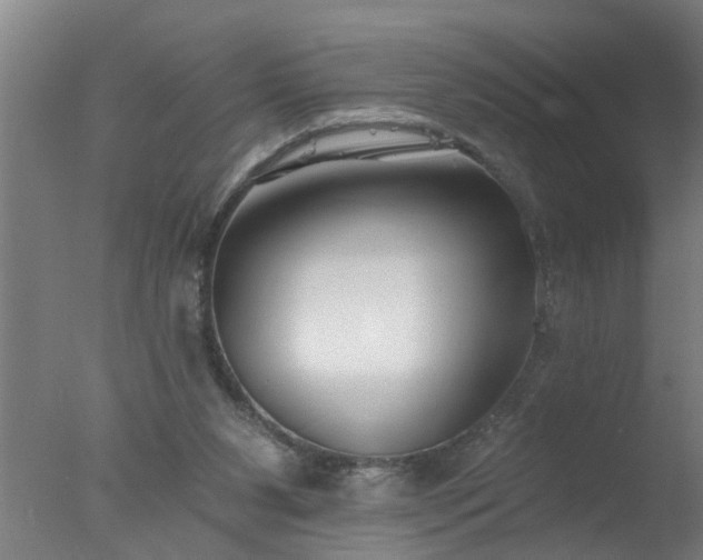 X0000077400111200610272049