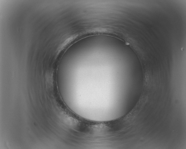 X0000077400112200610272049