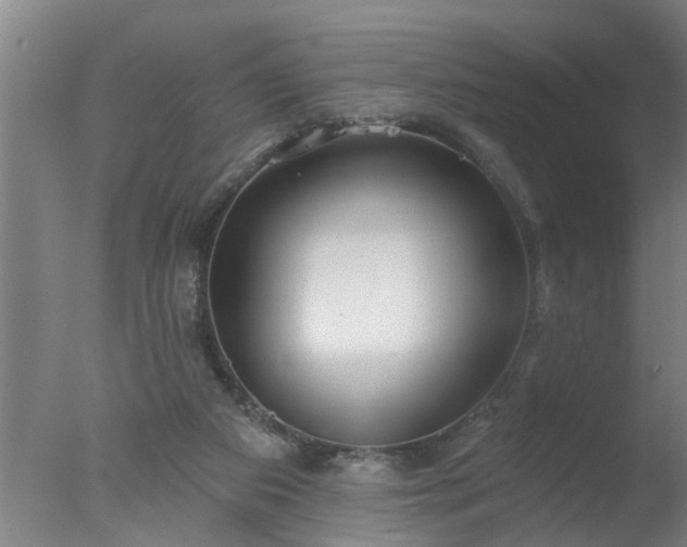 X0000077400113200610272049