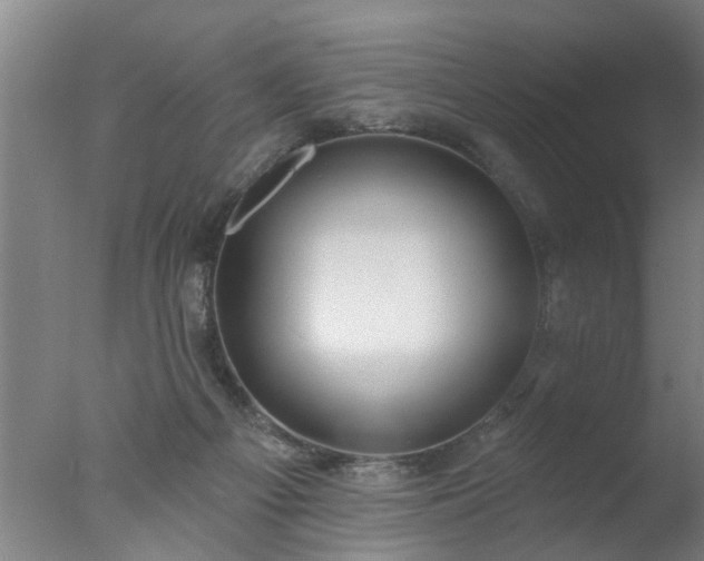 X0000077400121200610272049
