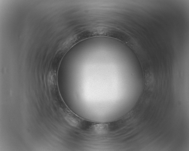 X0000077400126200610272049