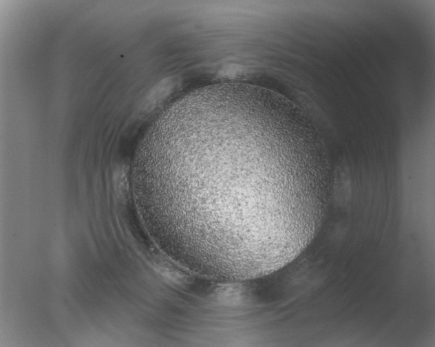 X0000077400127200610272049