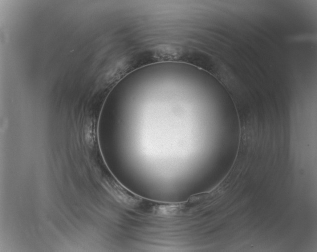 X0000077400134200610272049