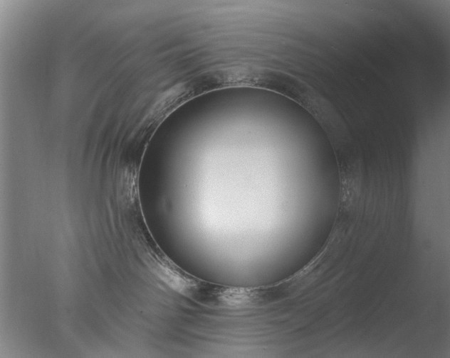 X0000077400142200610272048