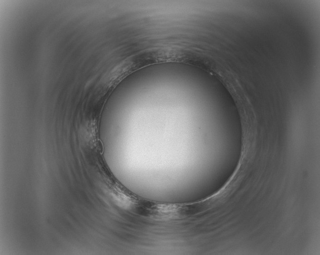 X0000077400144200610272048