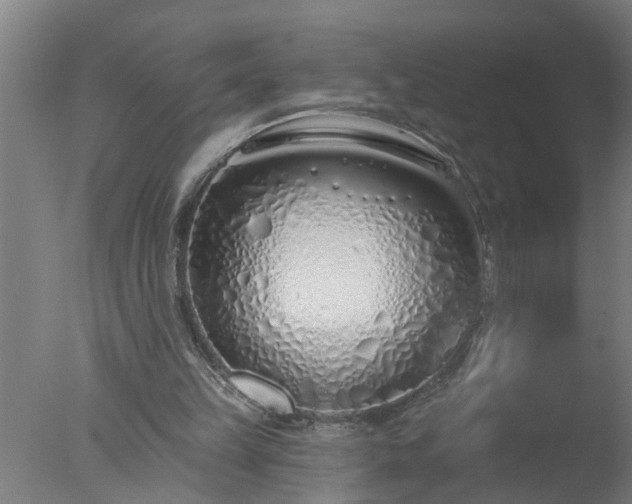 X0000077400149200610272048