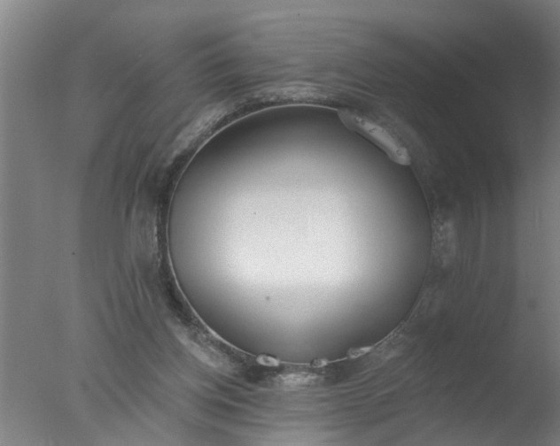 X0000077400158200610272048