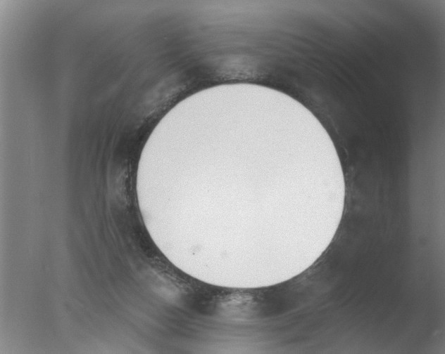 X0000077400162200610272048
