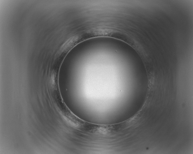 X0000077400166200610272048
