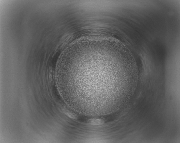 X0000077400169200610272048