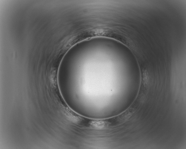 X0000077400181200610272048