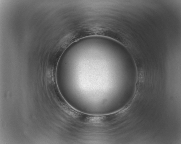 X0000077400182200610272048