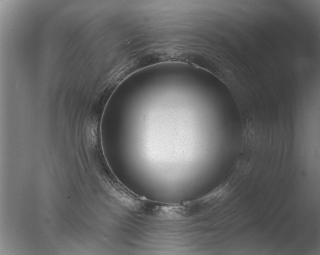 X0000077400188200610272048
