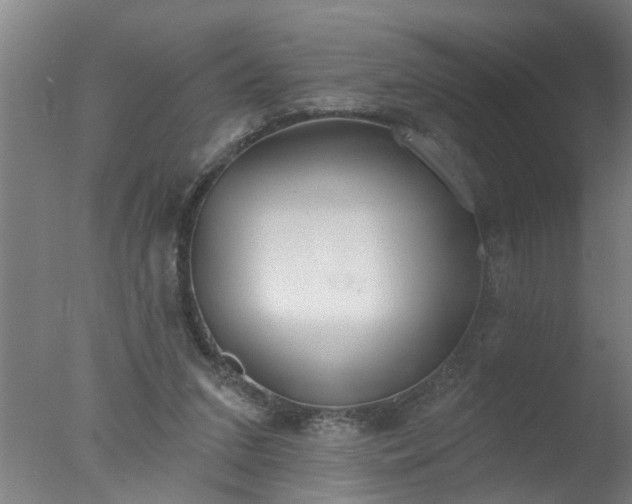 X0000077400207200610272047