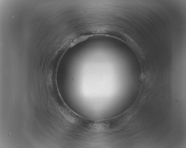 X0000077400209200610272047