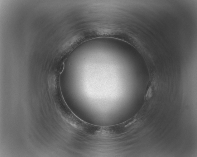 X0000077400211200610272047
