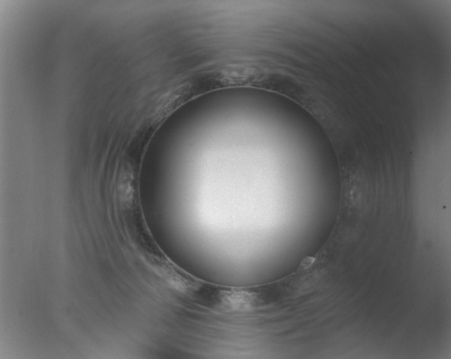 X0000077400226200610272047