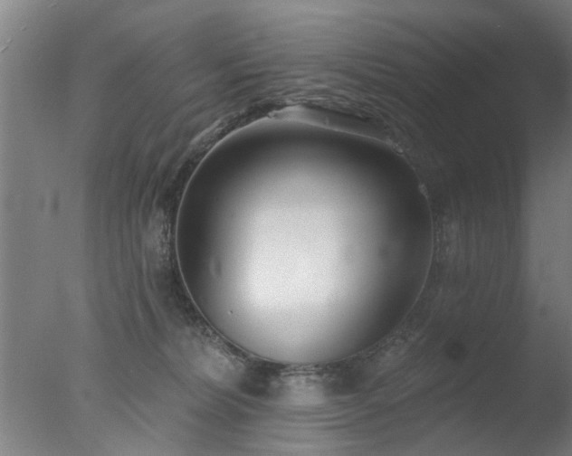 X0000077400228200610272047