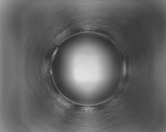 X0000077400233200610272047