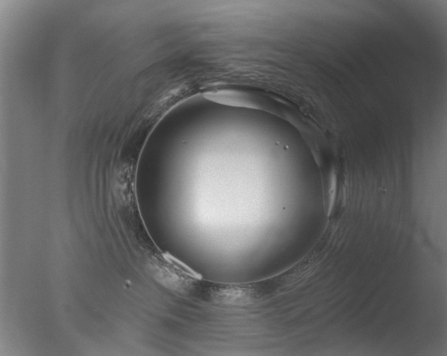 X0000077400237200610272047