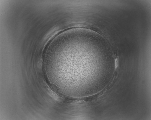 X0000077400243200610272046
