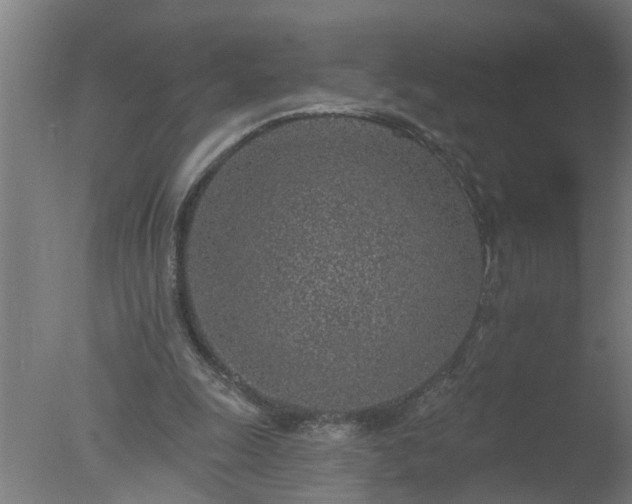 X0000077400247200610272046