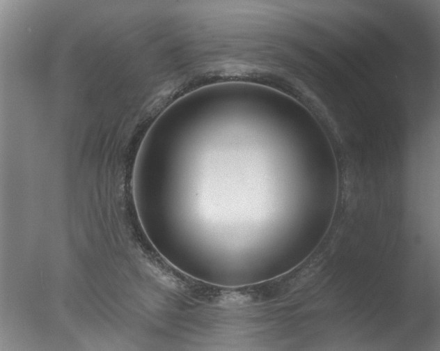 X0000077400257200610272046