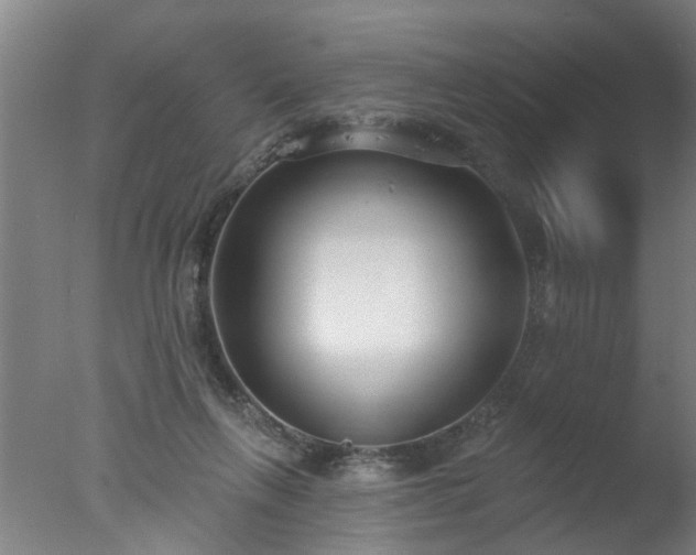 X0000077400263200610272046