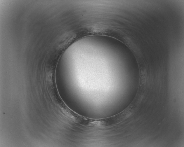 X0000077400269200610272046