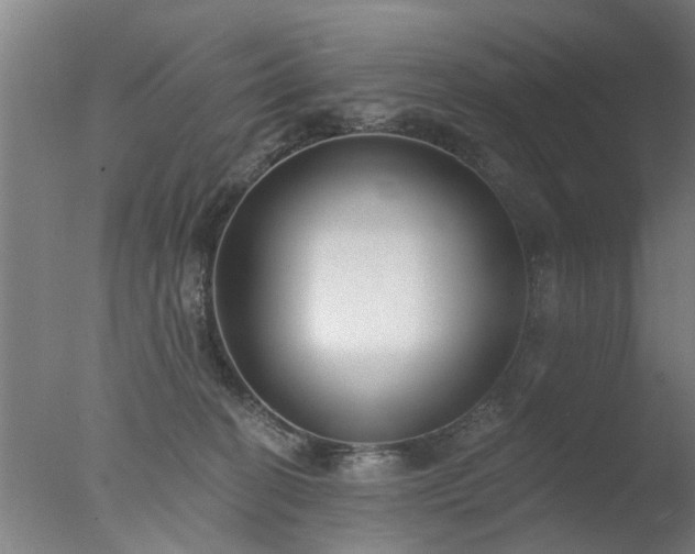 X0000077400274200610272046
