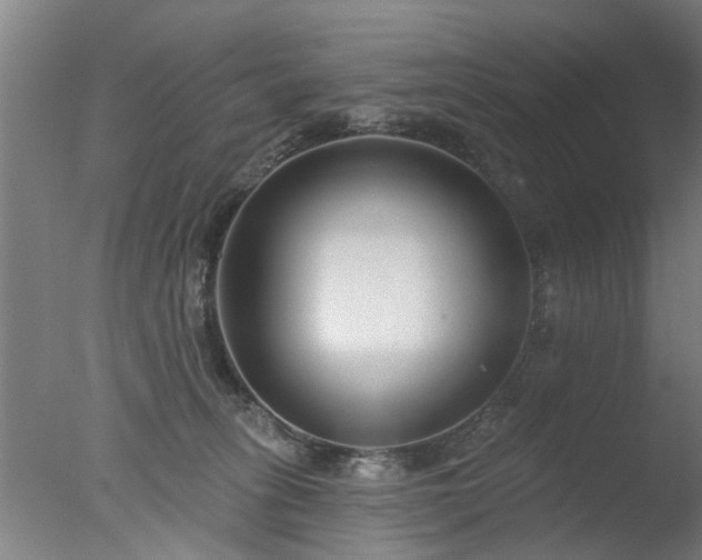 X0000077400275200610272046