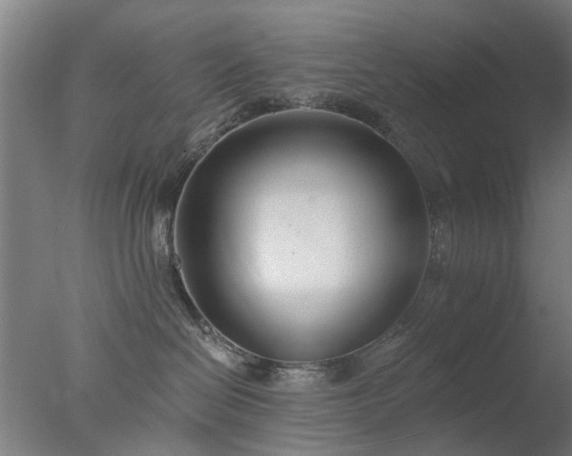 X0000077400286200610272047